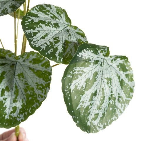 KW0NATU02880ZIEL ZIEL+POPI