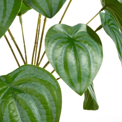 KW0NATU02890ZIEL ZIEL