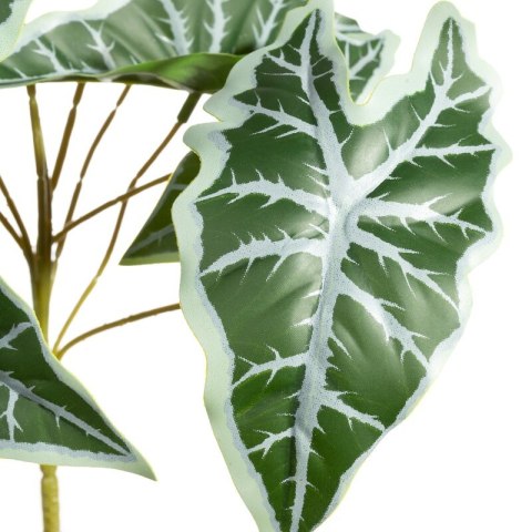 KW0NATU02900ZIEL ZIEL+POP