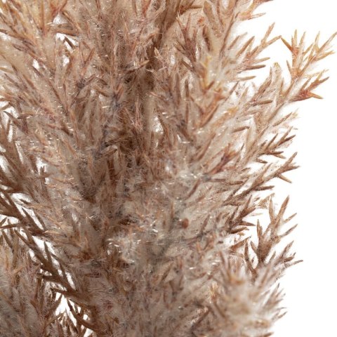 KW0NATU03040B+B BEŻO+BRĄZ