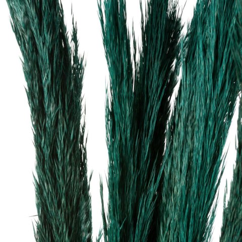 KW0NATURA0020MOR MOR010(X4) BUKIET