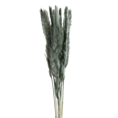 KW0NATURA0100MIĘ MIĘT010(X4) BUKIET