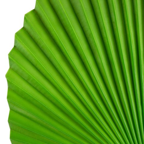 KW0LIŚĆ0330ZIEL ZIEL (X6)