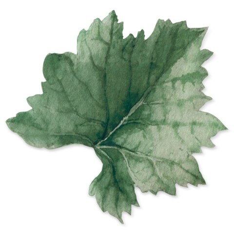 CHO0SUMMER40ZIEL 33X33