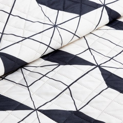 D910N0GEO001 200X220