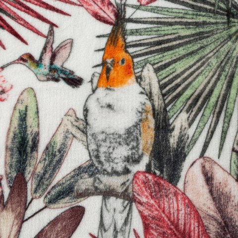 D910K0PARROT 150X200 ZIEL+RÓŻ