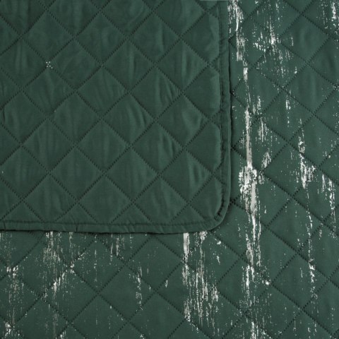 D910N0BLINK01 170X210 C.ZIEL+SREB