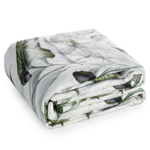 D910N0ELLEN 220X240 B+OLI