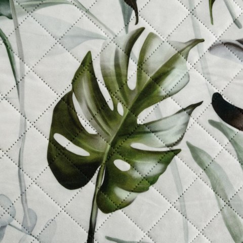 D910N0ELLEN 220X240 B+OLI