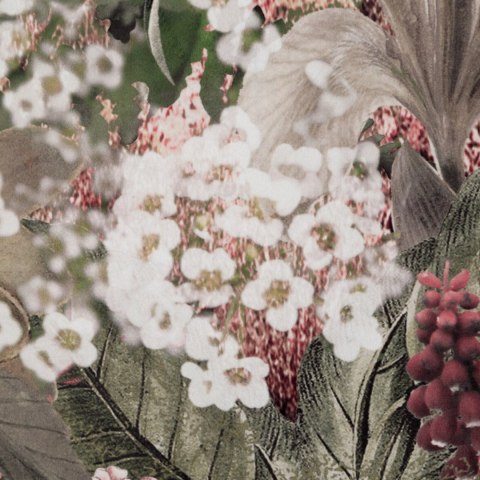 ZAS0GLORY0ZI+RÓŻ 140X270 T0SZEL