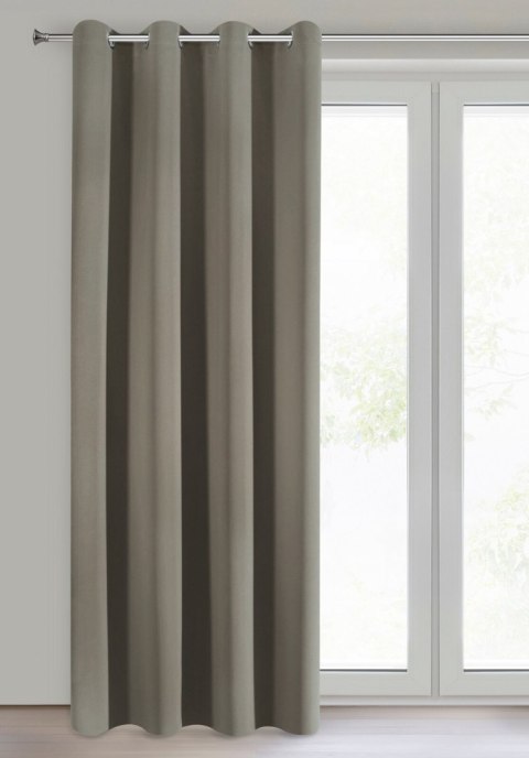 ZAS0LOGAN0CAPU 135X250 PRZEL