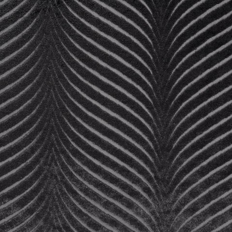 ZAS0LUSSI0CZAR 140X250 Ösen